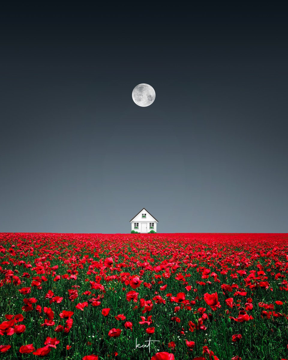 Nestled in a Blossom

#landscapelovers #earthpix #naturegeography #red #NaturePhotography #wonderful_places #horizon #1x #earth_shotz #beautifuldestinations #earth_deluxe  #moon #minimalism