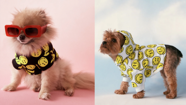 perrSONs's tweet photo. #ModaPerrSons | @zaraes y su acertada apuesta por la #ModaCanina y complementos a juego para ti
https://t.co/IBFVA4kgdI 🐶👕🚶🏽♀️
#ModaDúo #PerrosYDueños #Perros 🐾❤️ https://t.co/CfB9dB8Qwv
