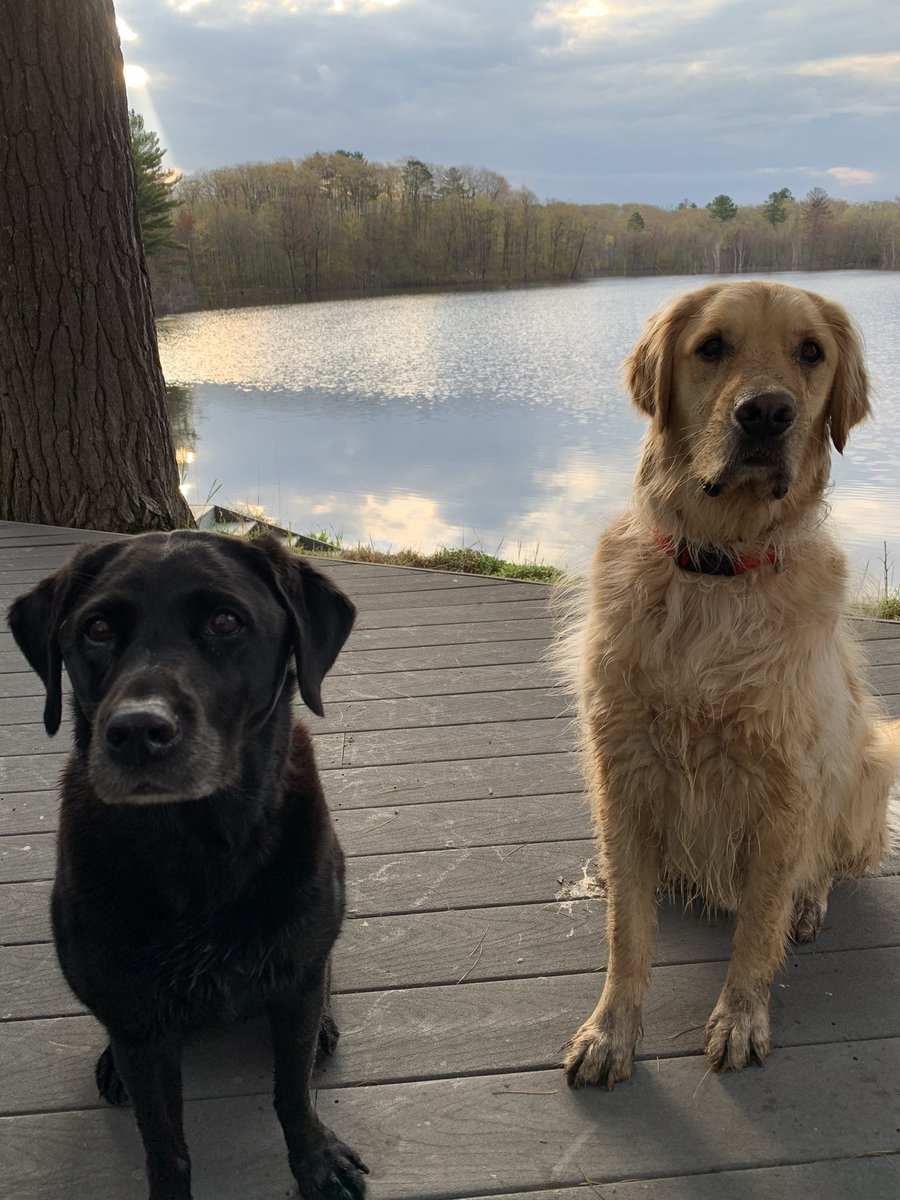 Great weekend in the north woods at Pine Acres with my cousin Chevy.  #FreshAir #PeaceAndQuiet #Family