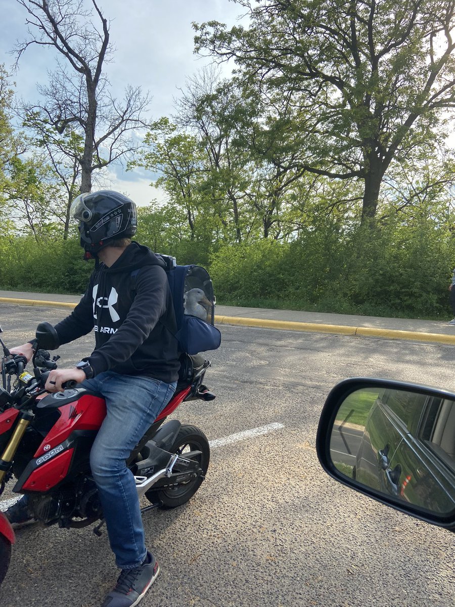 WinterBiking tweet media