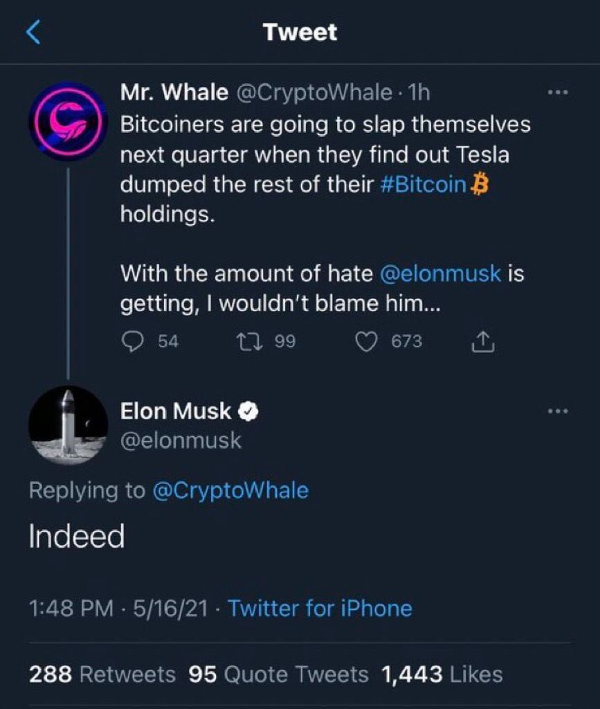 cryptomanran's tweet photo. The Bitcoin Maxi that pushed @elonmusk to dump all of Tesla’s Bitcoin? https://t.co/cLBw2RPKan
