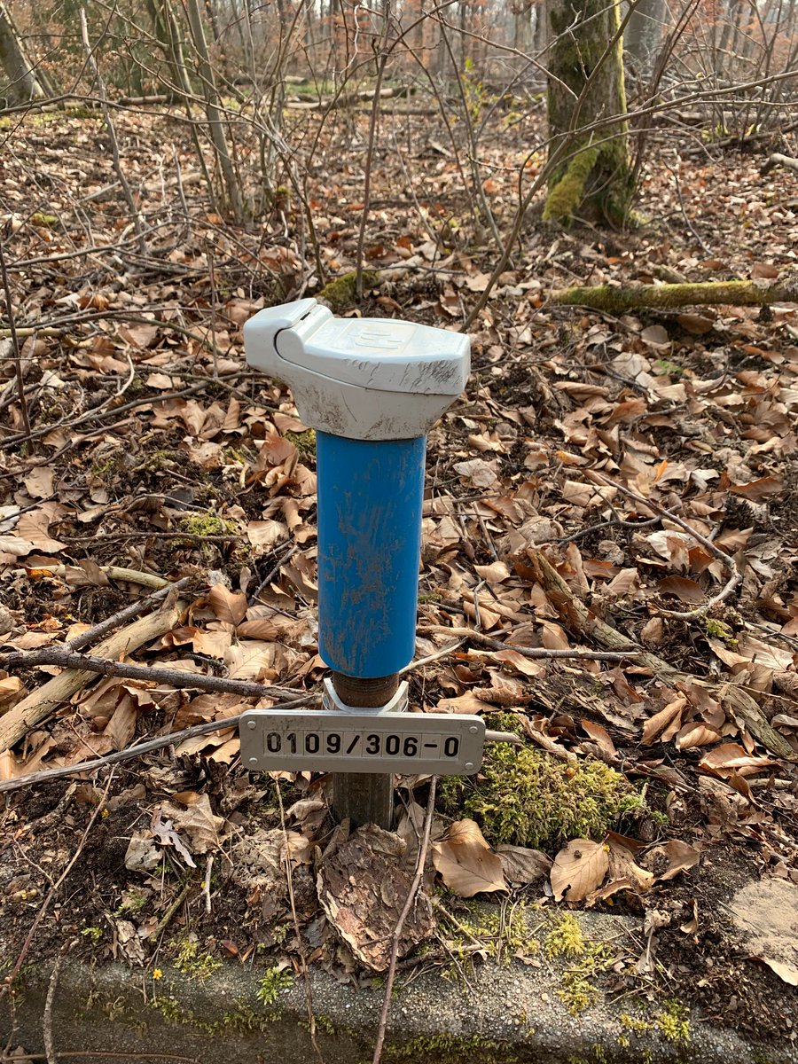 HardtwaldW's tweet photo. Auflösung Wochenendrätsel:
Der Wasserspiegel ist 1m gesunken, vergleicht man den Stand vom 18.07.2016 (99,11m) und 29.03.2021 (98,11m) miteinander.
Mit Eingabe der Grundwassernummer "0109/306-0" findet ihr bei der LUBW die Wasserstände seit 1949.
https://t.co/C1qNB78xSc https://t.co/DAauRPQasj
