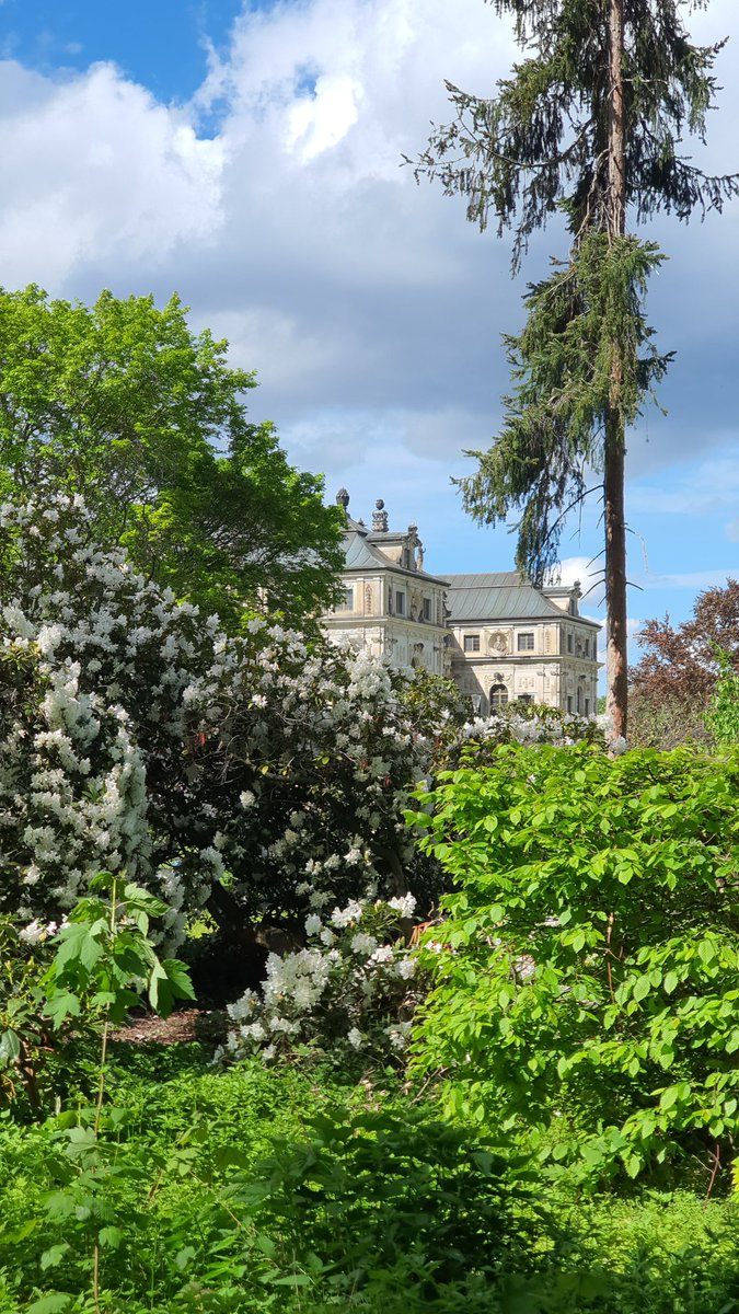 #Dresden 
#GroßerGarten 
#NaturePhotography #HappySunday @Anja01277