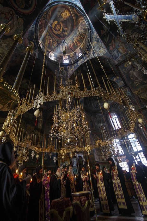 Stained Glass Zealot tweet media