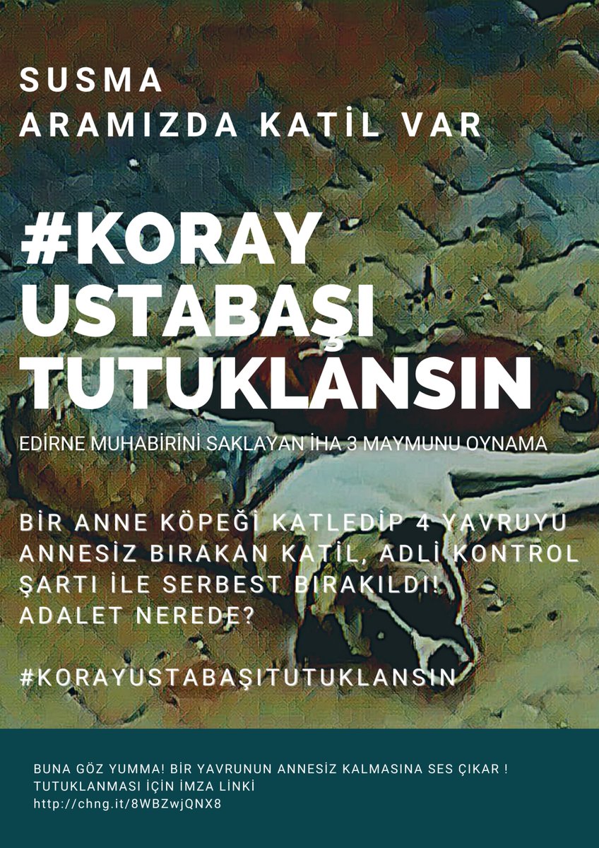 Trakya Üniversitesi Hayvan Dostları tweet media