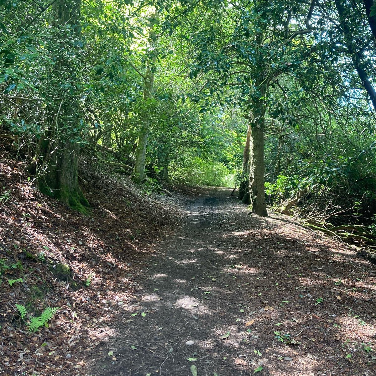 Michellf83's tweet photo. Feeling fresh in the spring sunshine (please tan me 😂🙏🏻) ☀️ happy days ❤️🌿🌳🌸🌻#MentalHealthAwarenessWeek2021 #ConnectWithNature https://t.co/DKkTVOPnvd