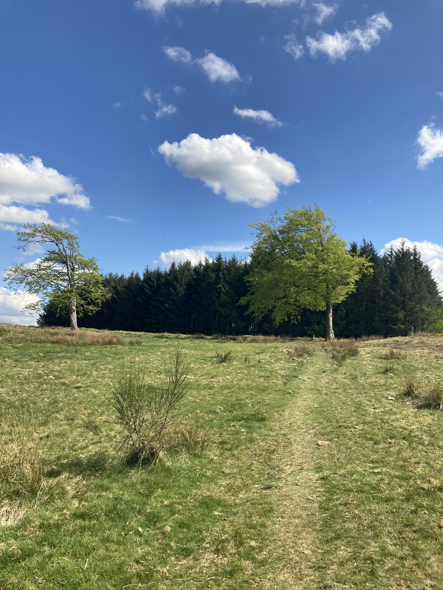 Michellf83's tweet photo. Feeling fresh in the spring sunshine (please tan me 😂🙏🏻) ☀️ happy days ❤️🌿🌳🌸🌻#MentalHealthAwarenessWeek2021 #ConnectWithNature https://t.co/DKkTVOPnvd