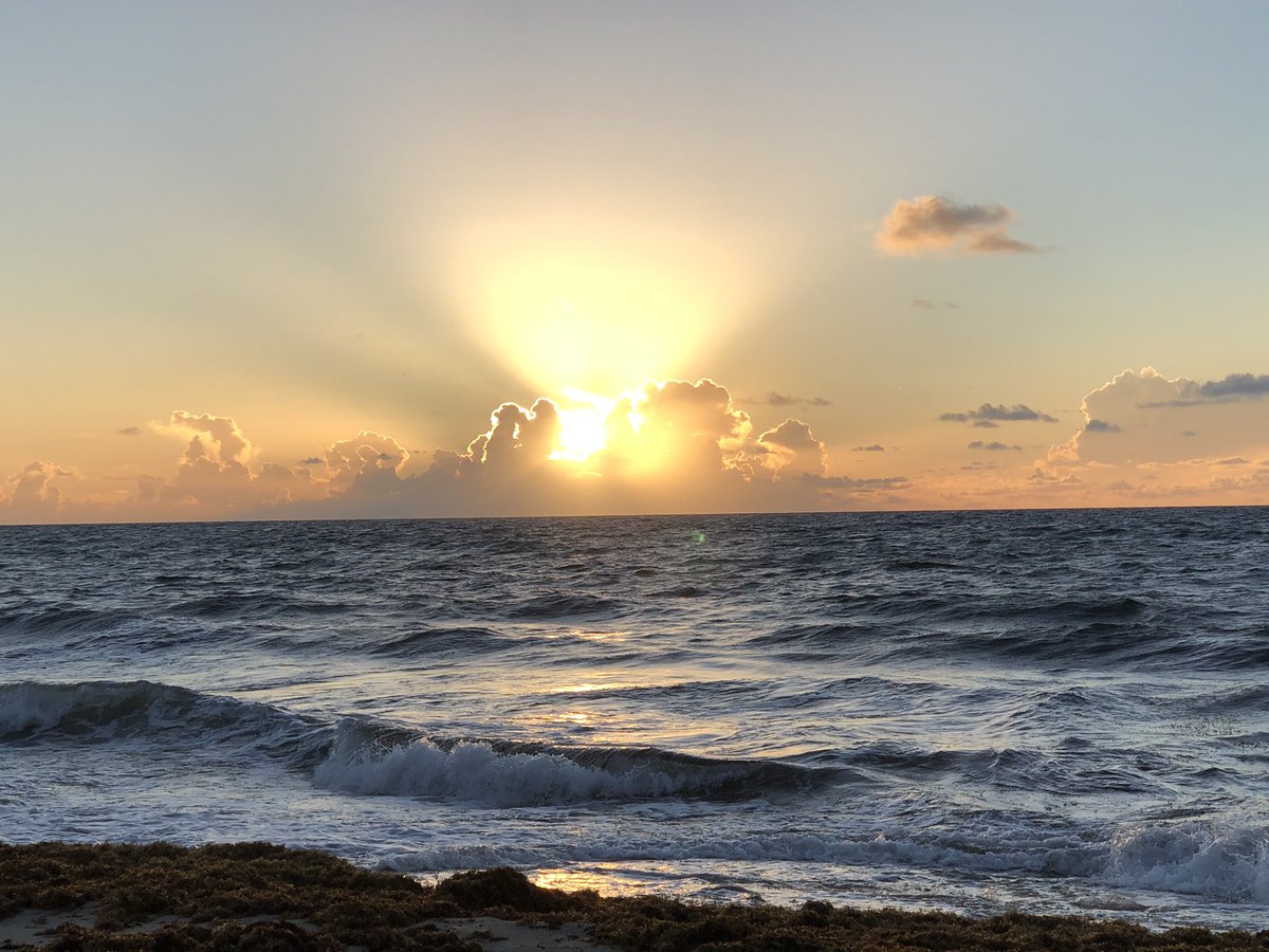 SolarBearCo's tweet photo. “Laughter is magic that dispenses clouds and creates sunshine in the soul.” -Richelle E. Goodrich

#sundayvibes #sunday #sunshine #sunquotes #solarbear #sunrise https://t.co/7SV4DiAJHG