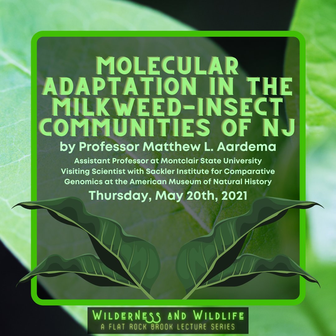 flatrockbrook's tweet image. Interested in the inner workings of the ecosystem of milkweed insects? Join us for our final Wilderness and Wildlife Lecture where we welcome Professor Matthew Aardema from Montclair State University! Register here: ow.ly/UBaM50ENQeA
