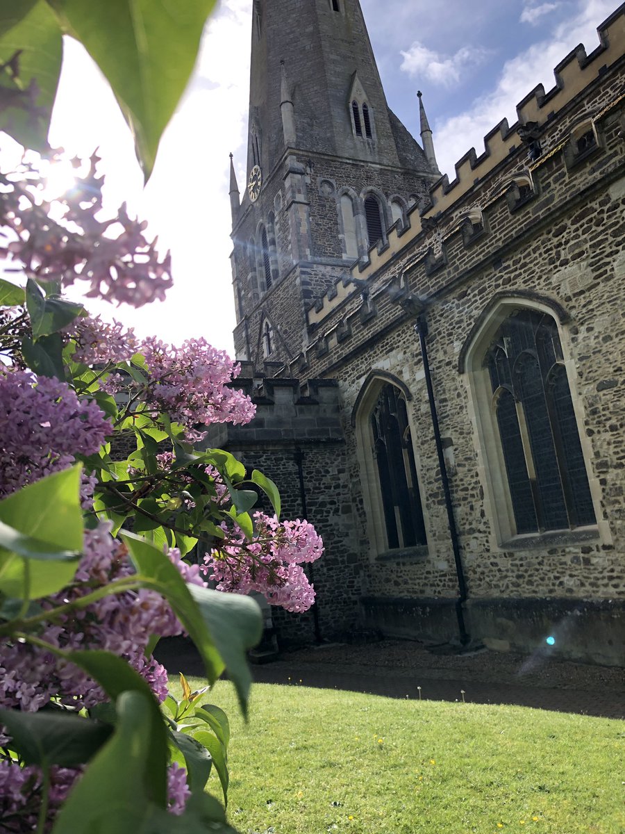 RevCate's tweet image. The lilac was beautiful at Church this morning.