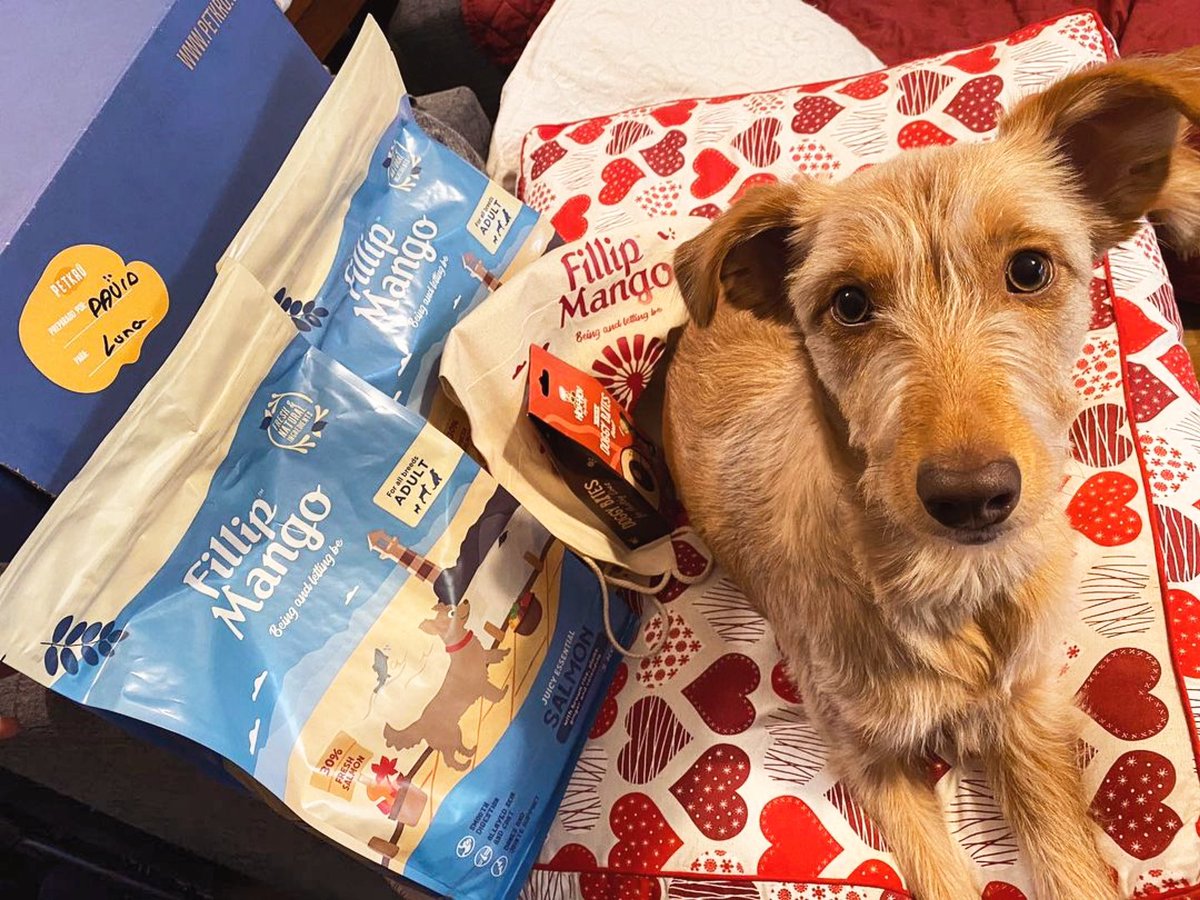 La vida es más bonita con ellos a nuestro lado 🐾 🧡

¡Confírmalo haciendo RT! 

📸 @los_croqueta