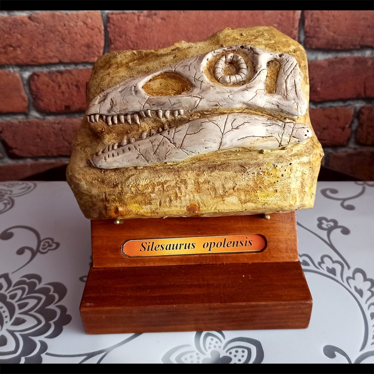 OfPrehistoric's tweet photo. We would like to thank our fan Adrian Leśniewski!  Adrian sent us a gift of thirteen silesaurus skull models to support the project. We will definitely use the models for crowdfunding or contest. If you want more Adrian models, we invite you to his profile:https://t.co/NNHuemOg6V https://t.co/ZM956clUQy