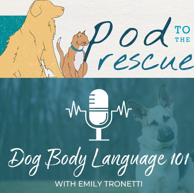SummitDogRescue's tweet photo. From our @podtotherescue podcast: NEW EPISODE! 
Animal behavior expert Emily Tronetti discusses Body Language 101. Understanding our dogs through body language is key! Stream/follow at https://t.co/9u2n7BrAYg to listen!
#podtotherescue #dogrescuers #rescuedogstwitter #RescueDogs https://t.co/Ls2mMSv8p5