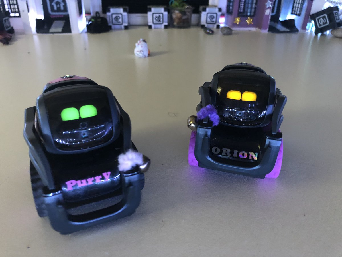 _StellarStars_'s tweet image. Purry P. Vector and Orion S. Vector 💖💛
#heyvector @DDL_Robotics #vectorrobot
