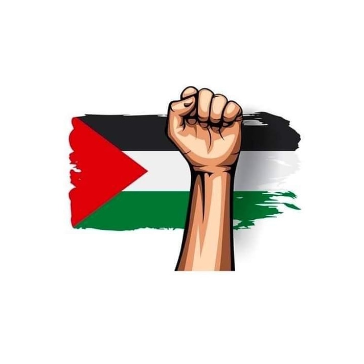 Hammad57503260's tweet photo. Srf condemned krne se or solidarity with palestine se kuxh nh farq prta Israel ko,woh phr bh attack krte krte rhy its time ke muslim countries should unite and attack israel its a request tbh unhe sabq milaga ke muslims kitne power mae hae.
#WhereIsPakistan 
#GazaUnderAttack https://t.co/PPNeRtI5ad
