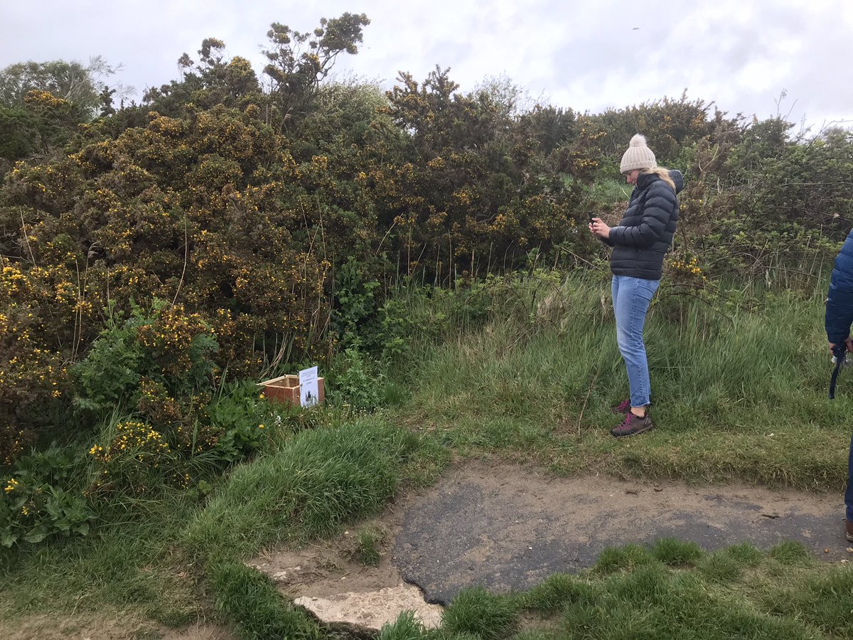 HendricksDog tweet media