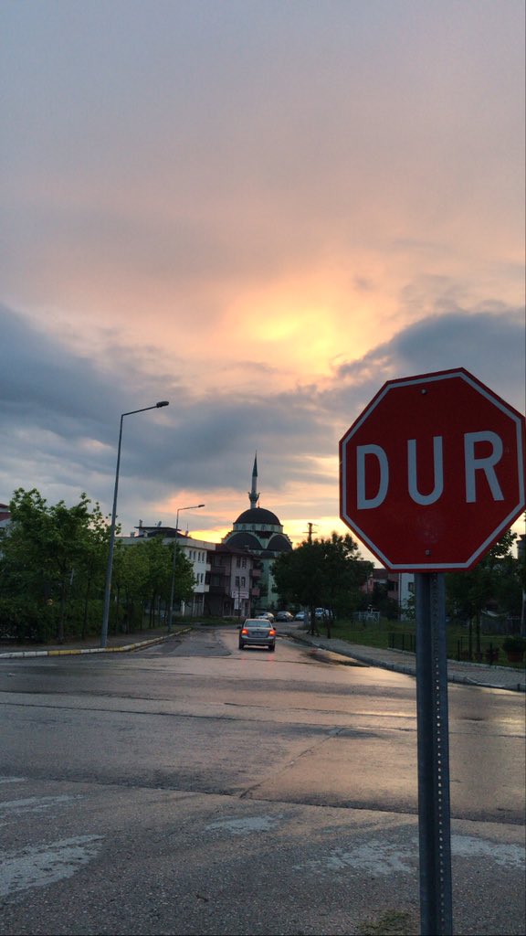 wait and watch the sunset