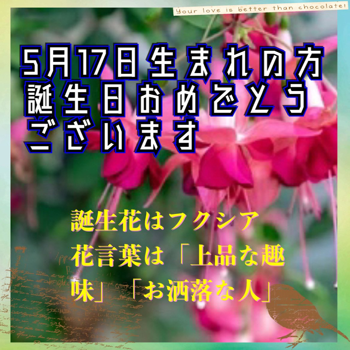 5月17日生まれ 5月17日生まれ