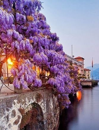 torarelaxtime's tweet image. Good morning everyone.
A strong head wind stops, and a day calm beautifully comes to you. Stay safe and stay health, my friends.

#HappyNewWeek 
#BeautifulSpring 
#CatsOfTwitter 
#BlessedAndGrateful