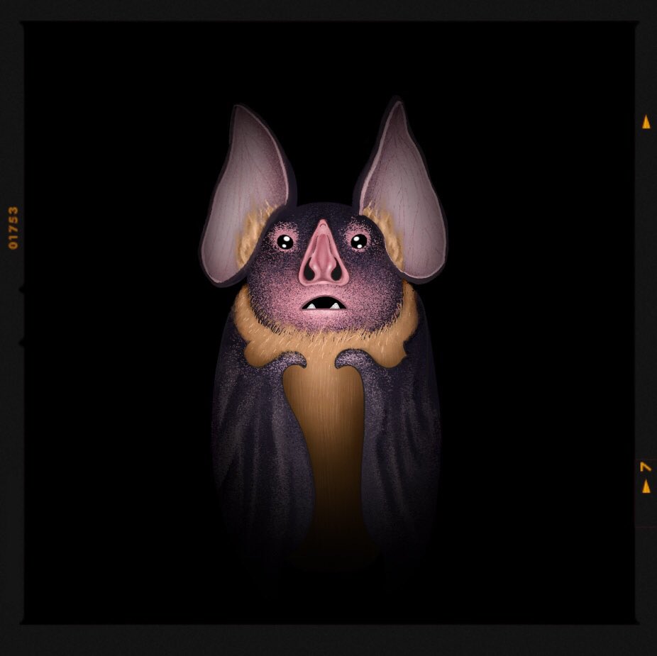 TGIPizza's tweet photo. Little bat lost in the dark
#bat #critter #illustraition https://t.co/s6KZQdKkCH