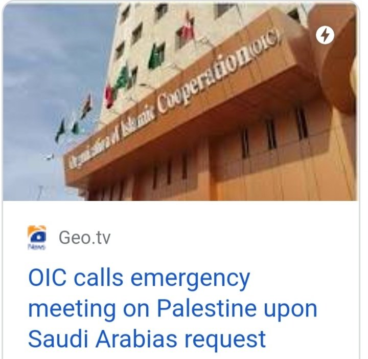 ایک بادشاہ نے کمزور سا باڈی گارڈ رکھا، 
دوسرے ملک کا بادشاہ دورے پر آیا، دیکھ کر حیران ہوا، پوچھا: باڈی گارڈ عموماً مضبوط اور طاقتور جسم والےرکھےجاتے،یہ گارڈ کس لیے رکھا؟
بادشاہ مسکرا کر: "ایدی بددعا بڑی لگدی اے"
 مسئلہ فلسطین پر سعودی عرب کی درخواست پر OIC کا ہنگامی اجلاس طلب.