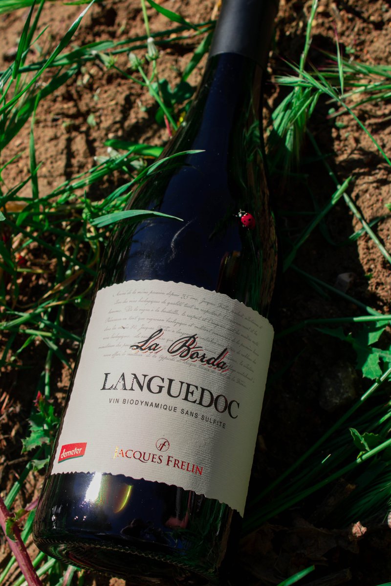 🐞 Nos amis les coccinelles 🐞

Voyez-vous cette mignonne coccinelle ? Malgré qu'elle a l'air d'apprécier notre vin, elle est un réel atout pour la protection de nos vignes. 

Cette aide est naturelle et bien meilleure que les pesticides, alors pourquoi s'en priver ? ☘️