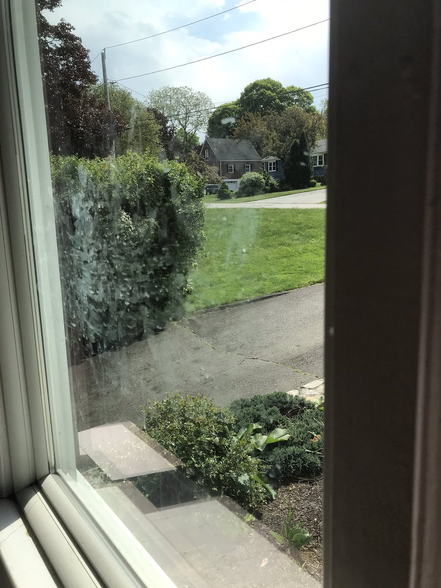 stefigrubler's tweet image. @getsafely did a great job cleaning the nose prints of the window. Thank you @chrissyteigen @KrisJenner 🌱🧼