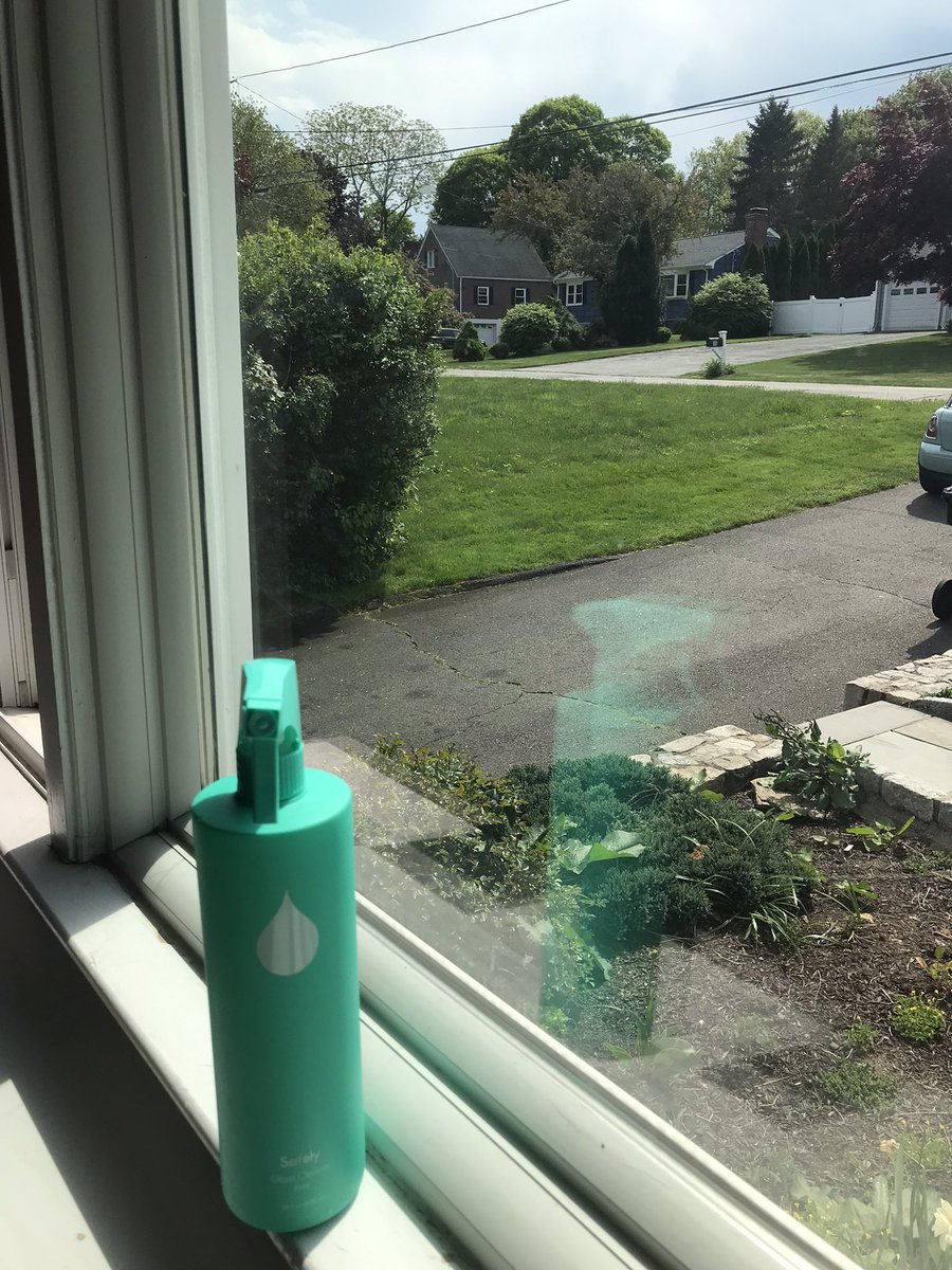 stefigrubler's tweet image. @getsafely did a great job cleaning the nose prints of the window. Thank you @chrissyteigen @KrisJenner 🌱🧼