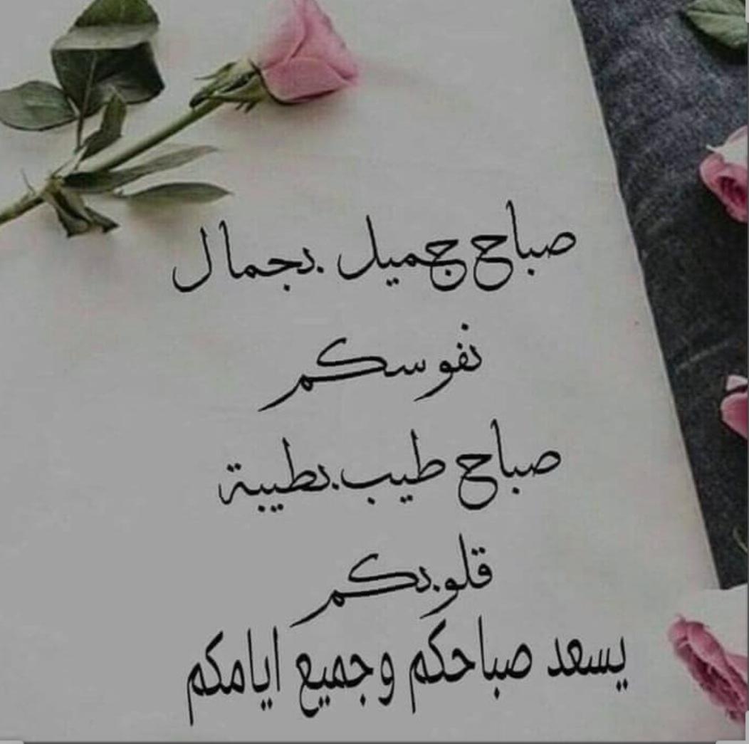 Bafaqir2's tweet photo. https://t.co/hYXE2vXZib