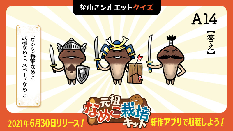 答えはこちら！刀や剣を手にしたなめこさん達にお集まりいただきました