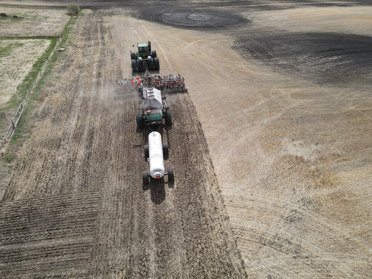 ACorfield_E's tweet photo. Perfect day for seeding a @ProvenSeed  Side-by-Side with PV 585. @26Petey @NutrienAg_NAB @MatthewMatras @JI_Gibby https://t.co/WEcwuRORUE