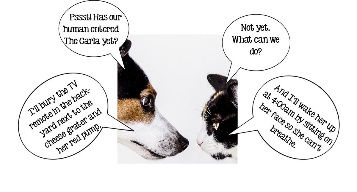 MARAuthors's tweet photo. Desperate times call for desperate measures. Timing is running out to enter The Carl Contest! The deadline is July 1, 2021. https://t.co/C6UMnuaBFh  #amwritingromance #amwriting #writingcommunity https://t.co/4ClSnOUI73