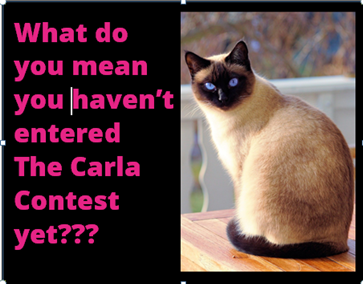 MARAuthors's tweet photo. The Carla Contest ends July 1st! You can't win if you don't enter. https://t.co/C6UMnuaBFh  #amwritingromance #amwriting #writingcommunity https://t.co/lBxFHp5VYV