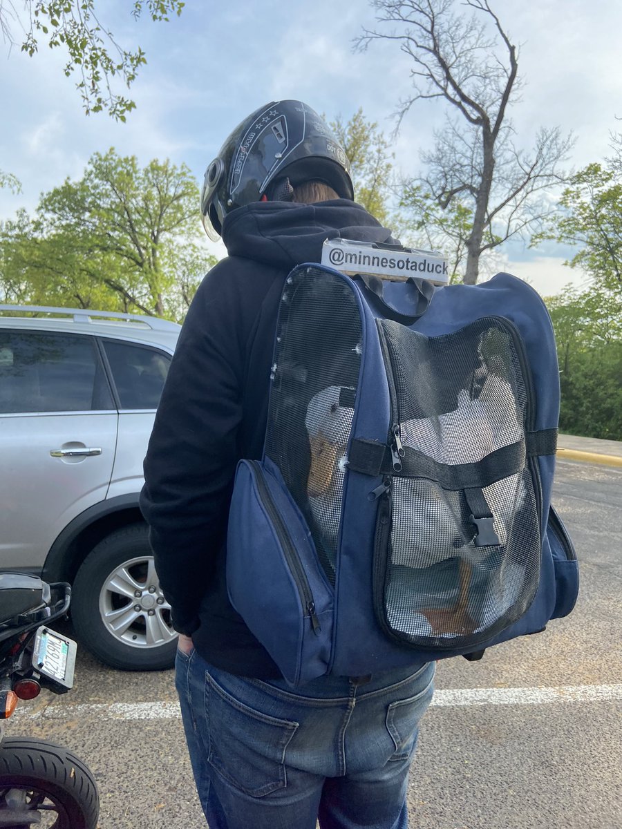 WinterBiking tweet media