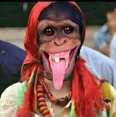 بنات القروب في العيد😂😂😂😂😂

@ii___m___ii 
@XqPkxn 
<a href="/cch5__/">...</a> 
<a href="/cu_z9j/">🆁🅷🅸🆀</a> 
<a href="/Rv_5050/">تصميم سيرة ذاتية | CV</a> 
@zm_____9 
@3____77