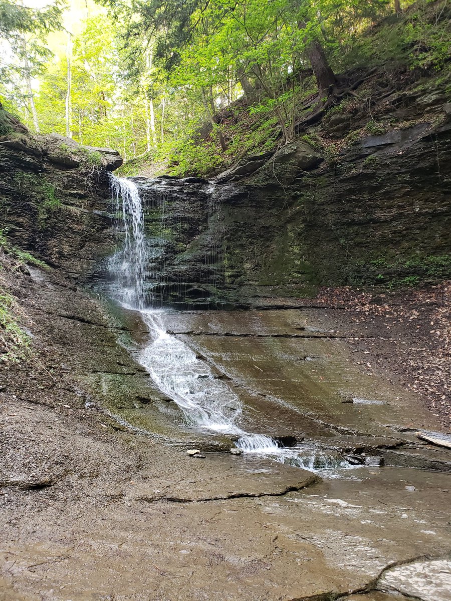 smcafee8718's tweet photo. Another great hike with great company!  #FallRunPark #52HikeChallenge https://t.co/yYg3bD2uqn