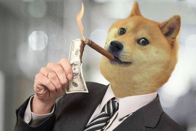 VDOGE tweet media