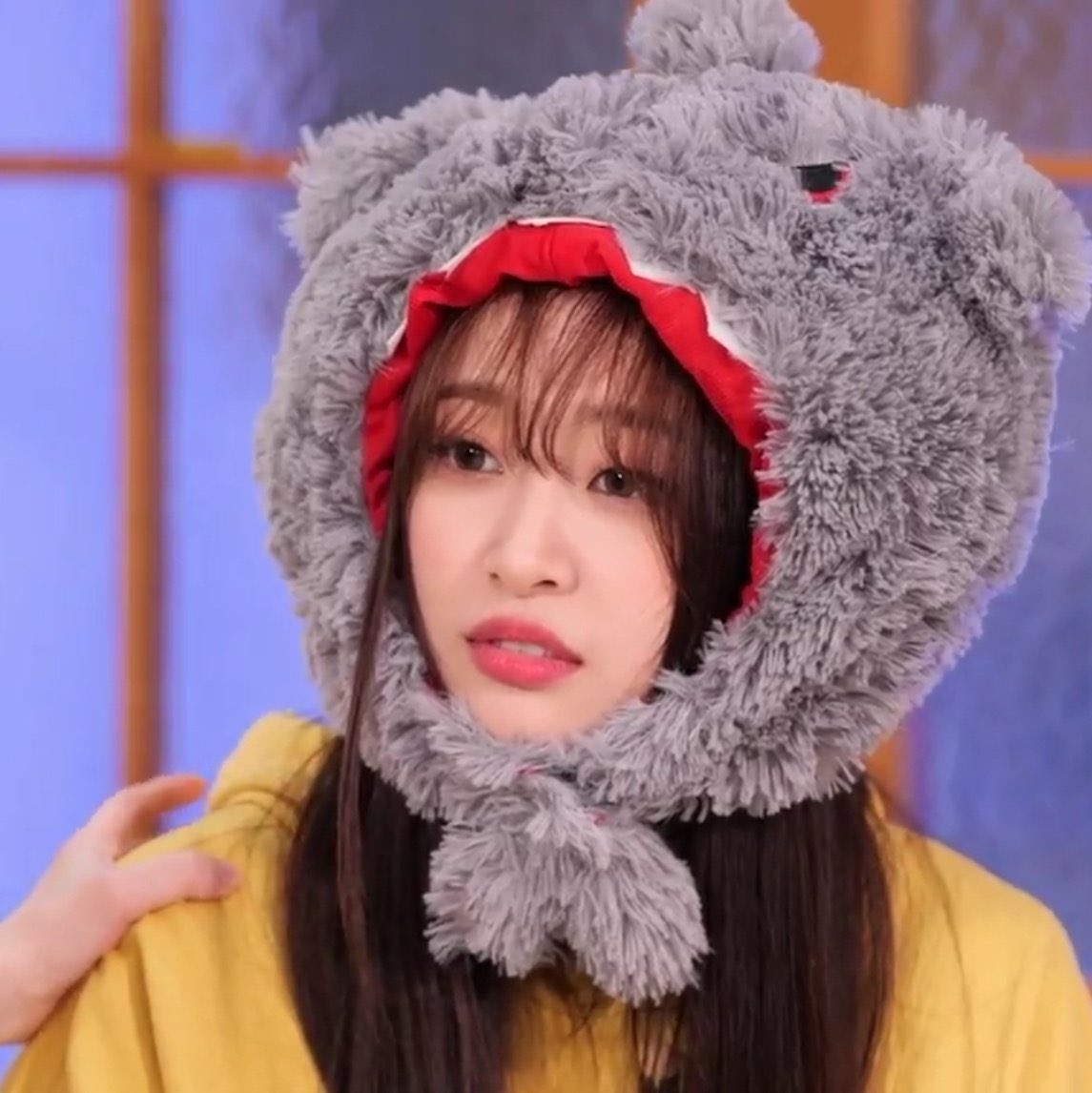 save them from the shark hats