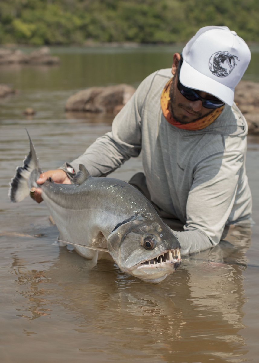 Xingu Lodge tweet media