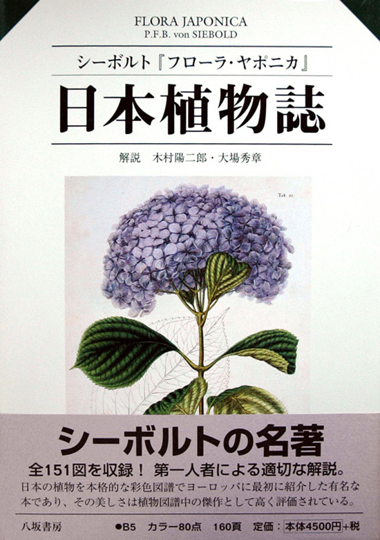 八坂書房 おすすめ既刊書籍 紫陽花の美しい季節になりました 日本植物誌 フローラ ヤポニカ 木村陽二郎 大場秀章解説 原著は日本の植物を本格的な彩色図譜として初めてヨーロッパに紹介した著名な本 その美しさは植物図譜中の傑作として高く評価 八坂書房 おすすめ既刊書籍 紫陽花の美しい季節になりました 日本植物誌 フローラ ヤポニカ 木村陽二郎 大場秀章解説 原著は日本の植物を本格的な彩色図譜として初めてヨーロッパに紹介した著名な本 その美しさは植物図譜中の傑作として高く評価