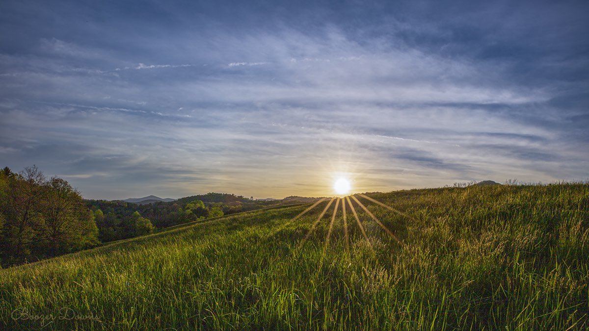 BoozerDPhoto's tweet image. The tops of the green hayfields in North Georgia are starting to turn golden this time of year.
.
.
.
#sunsetsunday #sunset #hayfield #northgeorgia #northgeorgiamountains #farm #farmlife #rabun