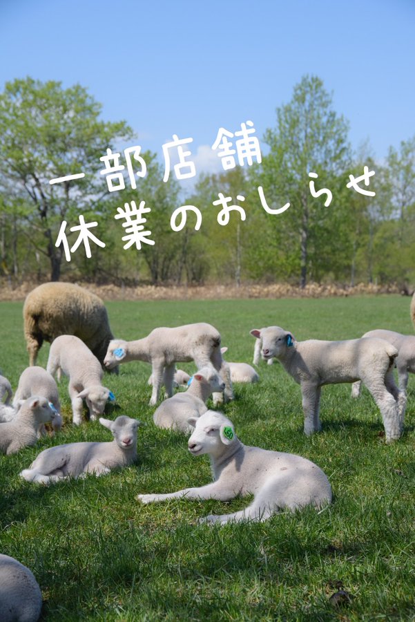 えこりん村 恵庭市 バラ咲く銀河庭園の見頃とアルパカ達 北海道レポブログ
