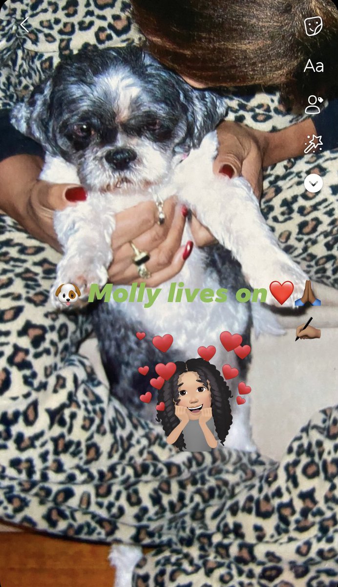 paulette01234's tweet image. Molly lives on #Pwow🙏🏾❤️🇺🇸✍🏽🕊🕊