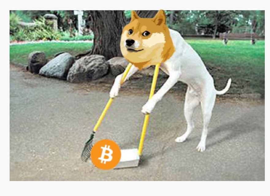 BrowserLoc's tweet image. Really? #BTC #Doge #Bitcoin #Dogecoin
