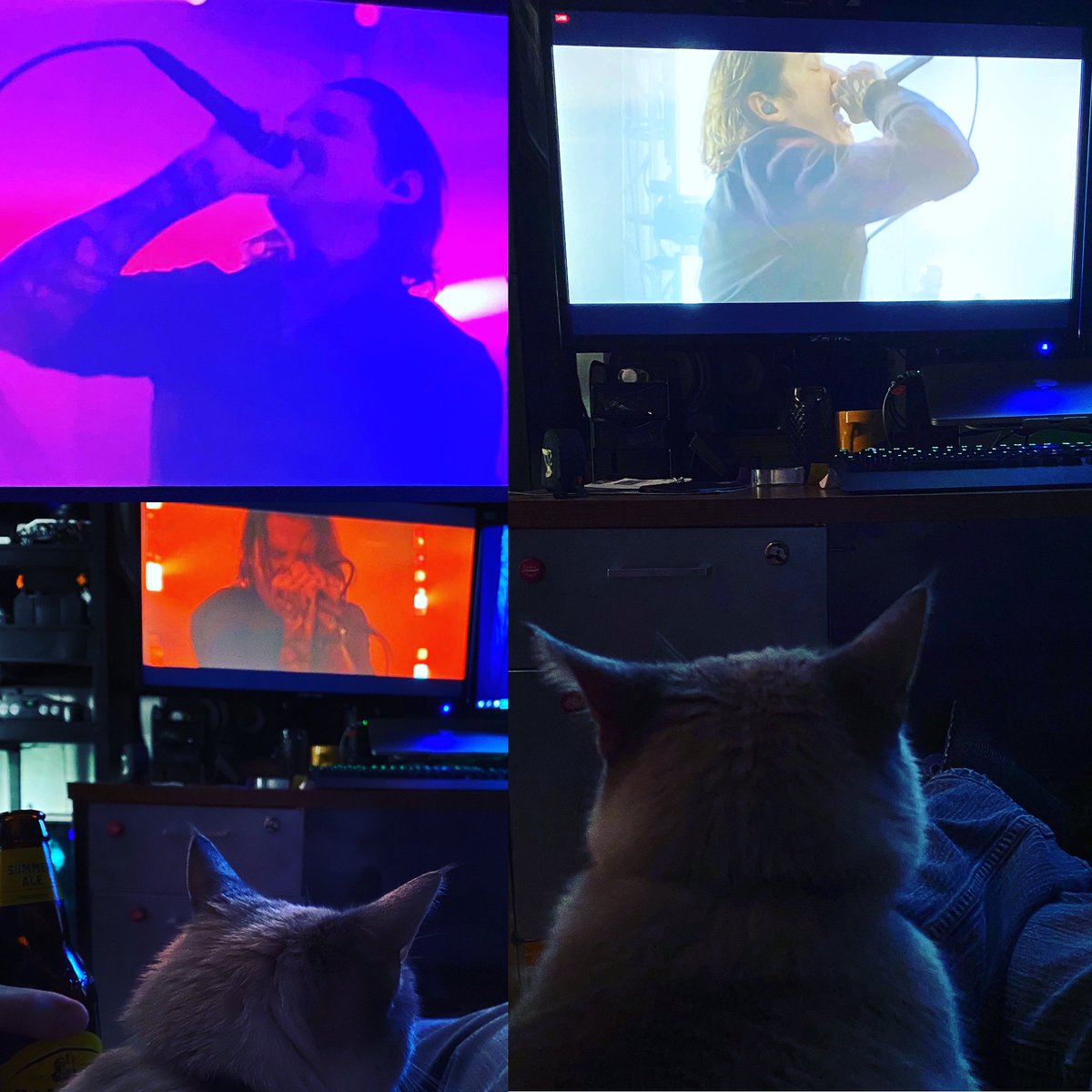 daltonpaulvideo's tweet photo. About to take a Melatonin pour some alcohol, and rewatch the #tdwp #UndeadStream before bed. Incredible performance. Amazing stuff from an amazing band. π§ββοΈπ€π» #ZII #ZombieII #TheyRiseAtNight #TransitBlues #Rightinthefeels https://t.co/w9x3yCZOHB