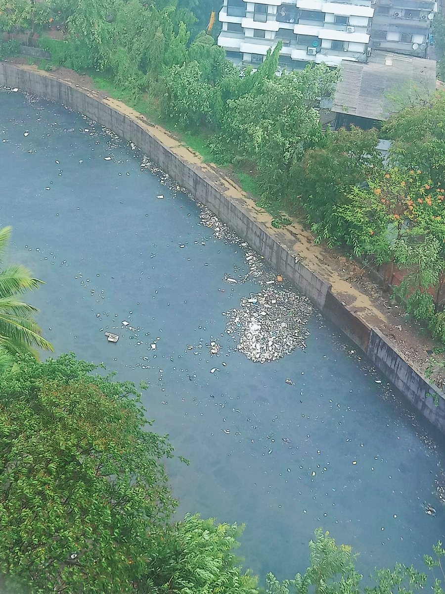 When will people understand throwing flowers and haar in water will not reach god. That too with the plastic bag, great. But yaa it's still on its way. #savewaterfromplastic #Mumbaicity #Thanecity #cleanindia #cleanmaharashtra