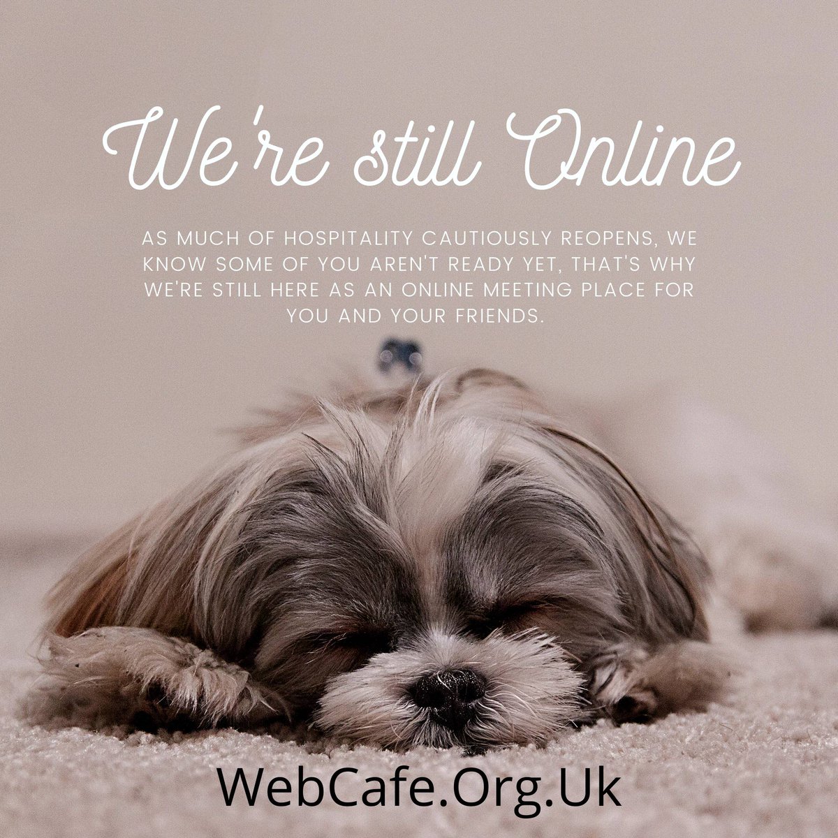 WebCafeTweet tweet picture