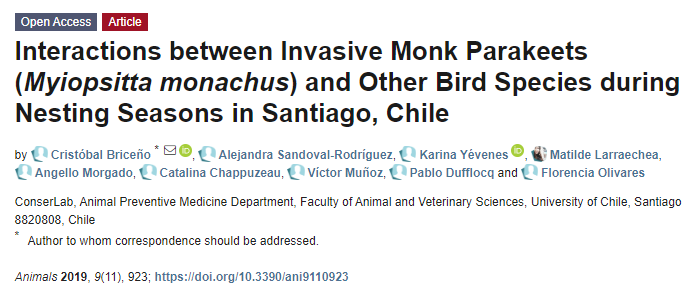 Animals_MDPI's tweet photo. Please check the Editor choice paper in @Animals_MDPI Interactions between Invasive Monk Parakeets (Myiopsitta monachus) and Other #bird  Species during Nesting Seasons in Santiago, Chile. 
🔗https://t.co/hx4tiJGkhB https://t.co/FMJ40iZPjb
