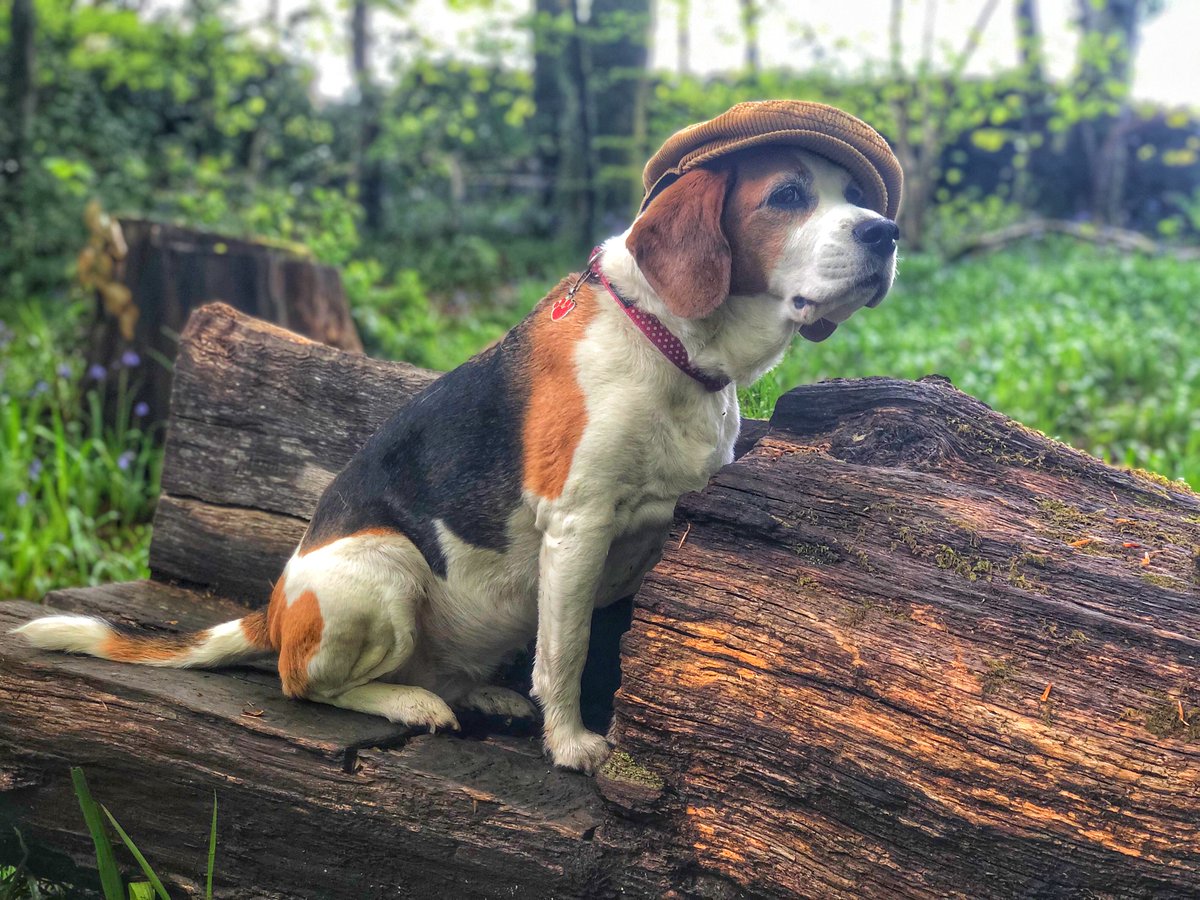 Ruby Garamond tweet media