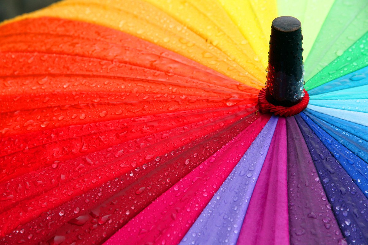 Intersex Mapping Study Ireland tweet media